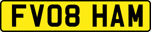 FV08HAM