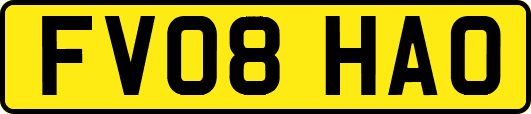 FV08HAO