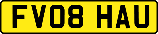 FV08HAU