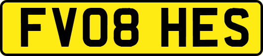 FV08HES