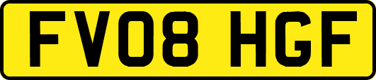 FV08HGF