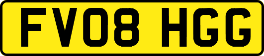 FV08HGG