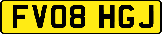 FV08HGJ