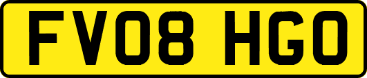 FV08HGO