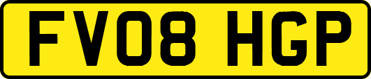 FV08HGP
