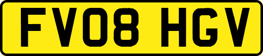 FV08HGV