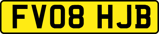 FV08HJB