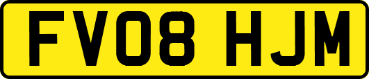 FV08HJM