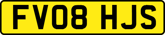 FV08HJS