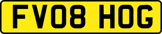 FV08HOG