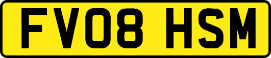 FV08HSM