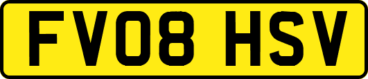FV08HSV