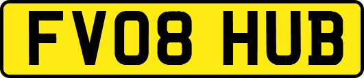 FV08HUB