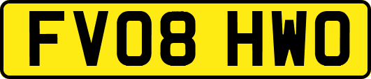 FV08HWO