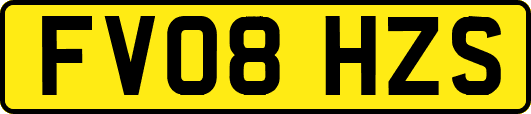 FV08HZS