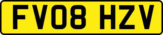 FV08HZV