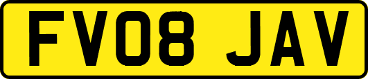 FV08JAV