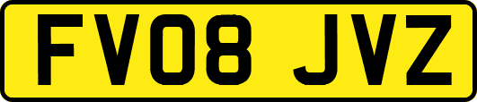 FV08JVZ