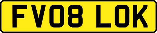 FV08LOK
