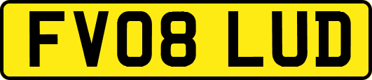 FV08LUD