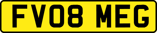 FV08MEG