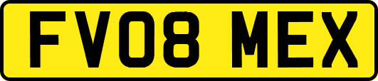 FV08MEX