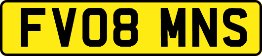 FV08MNS