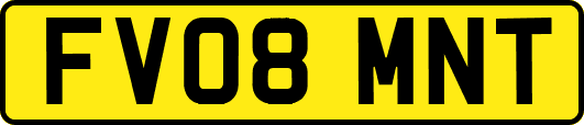 FV08MNT