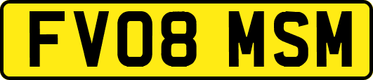 FV08MSM