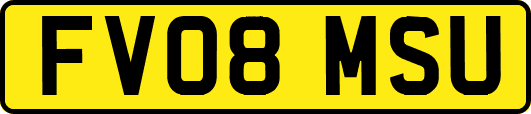 FV08MSU