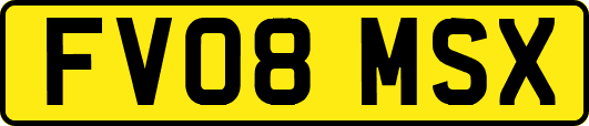 FV08MSX