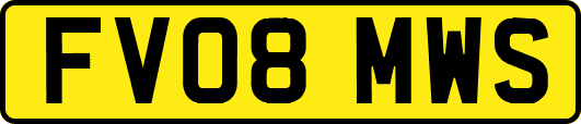 FV08MWS