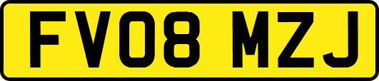 FV08MZJ