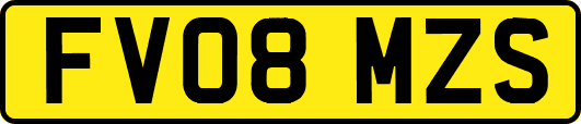 FV08MZS