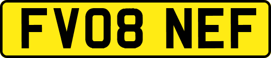 FV08NEF