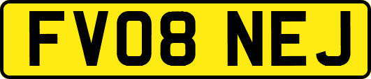 FV08NEJ