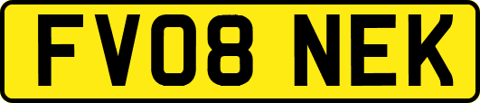 FV08NEK
