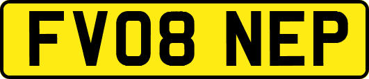 FV08NEP