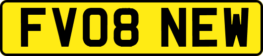 FV08NEW