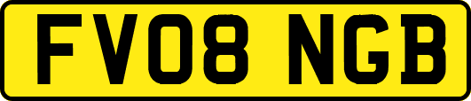 FV08NGB