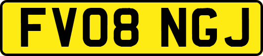 FV08NGJ