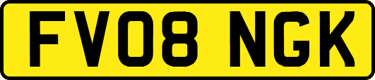 FV08NGK