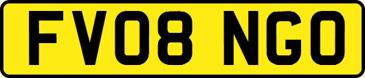 FV08NGO
