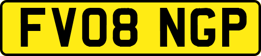 FV08NGP