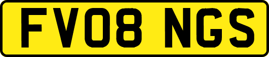 FV08NGS