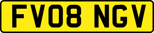 FV08NGV
