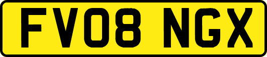 FV08NGX