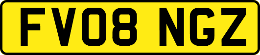 FV08NGZ