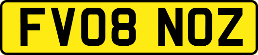 FV08NOZ