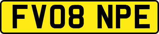 FV08NPE